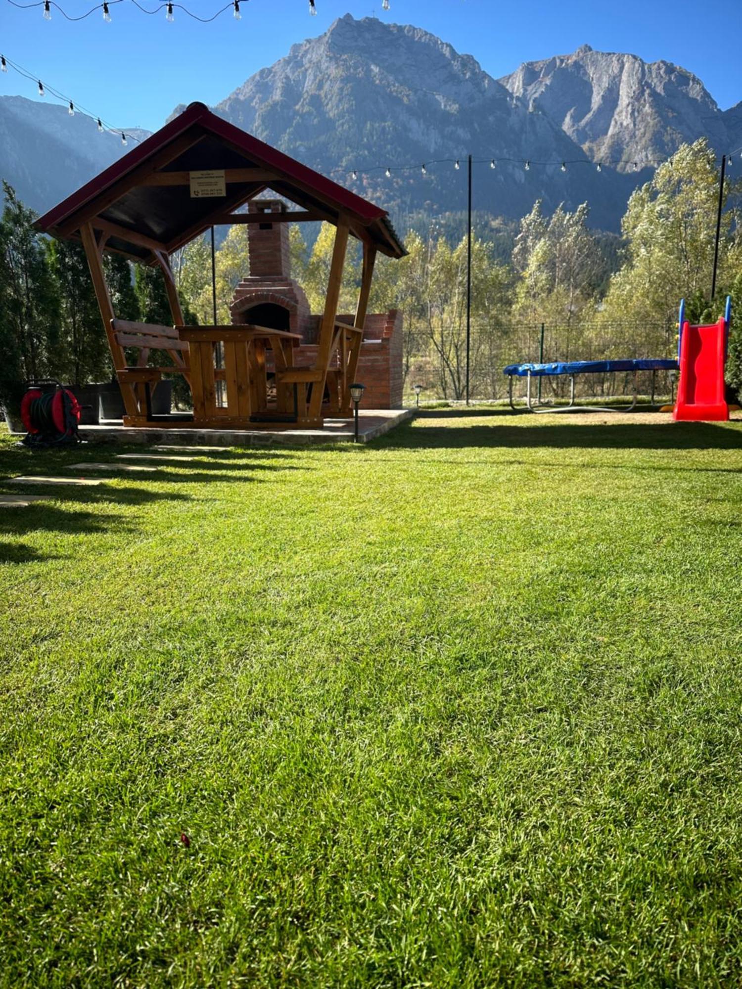 Ama Garden Apartment Busteni